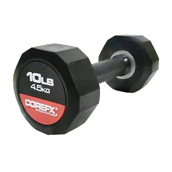 Fitness gear discount 10 lb weights