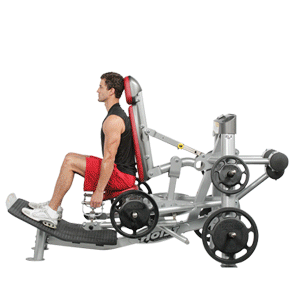 Hoist Fitness Machine Leg Press - China Gym Equipment and Fitness Equipment  price