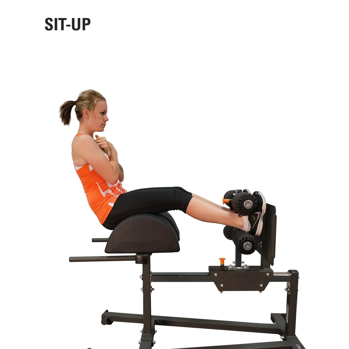 Torque Glute Ham Developer